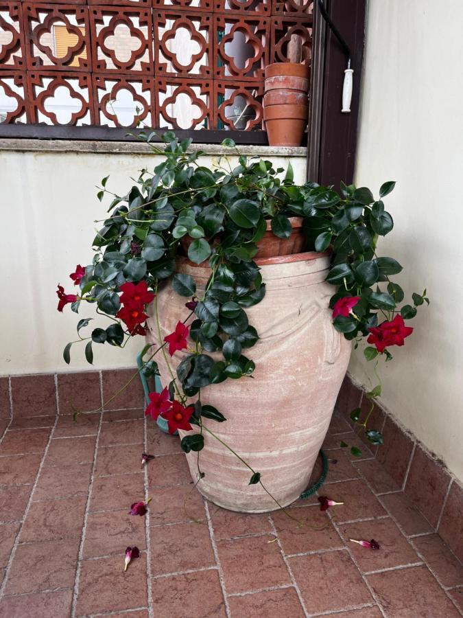 B&B La Panoramica Tivoli Kültér fotó